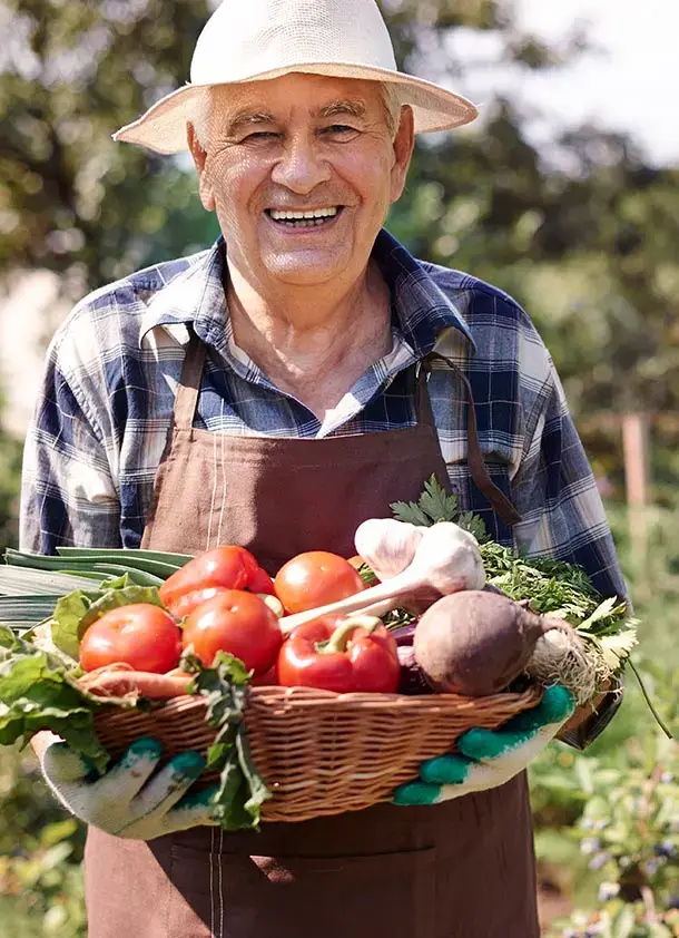 3X Traffic Surge, 150% Longer Average Session Duration, and a 95% Reduction in Bounce Rate for Cricket Victoria Website Redesign and Digital Marketing